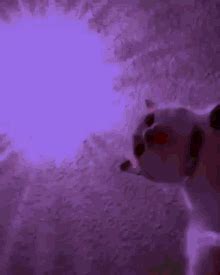 Cats Rave GIF - Cats Rave Techno - Discover & Share GIFs