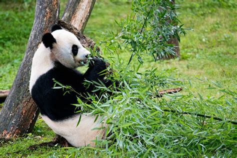 Nothing Else Matters: “Zoo veterinarians saw exciting movements during ...