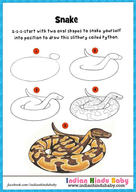 How To Draw A Snake For Kids at How To Draw