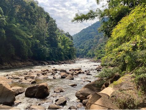 Contesting dams, diversions and the conditions of development in the ...