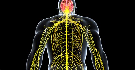 Peripheral Neuropathy - New Iberia, LA - Orthopedic Surgery - Wm. André ...