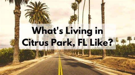 What's Living in Citrus Park, FL Like? [2024] | ☀️ ULTIMATE Moving to ...