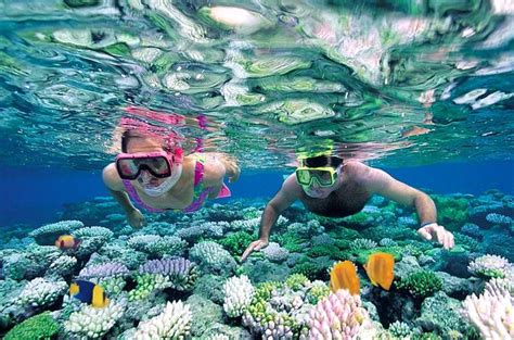 Underwater World: Snorkeling in Seychelles - Le-Nautique