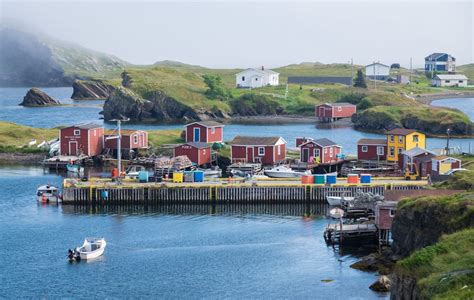 Travel to Newfoundland, Canada, and You'll Never Want to Leave ...