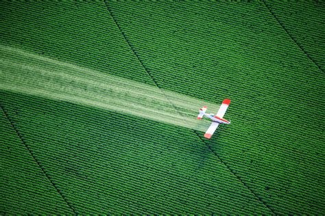 FDA Releases Report on 2016 Pesticide Residue Monitoring Program – Noon ...