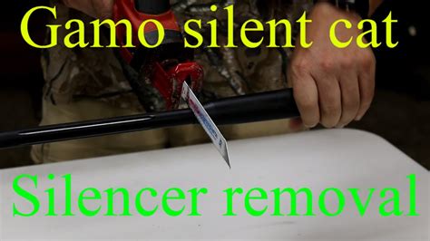 Gamo silent cat - does this silencer even work? - Pelletonix - YouTube