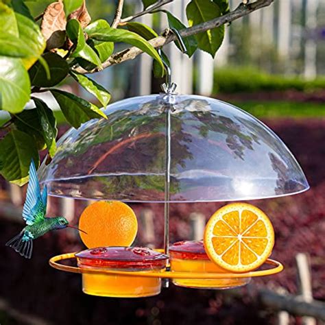 Best Bee-Proof Oriole Feeder