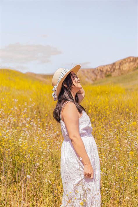 How to See the Chino Hills State Park Wildflowers (Mustard Blooms ...