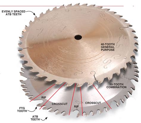 Essential Table Saw Blades | Popular Woodworking