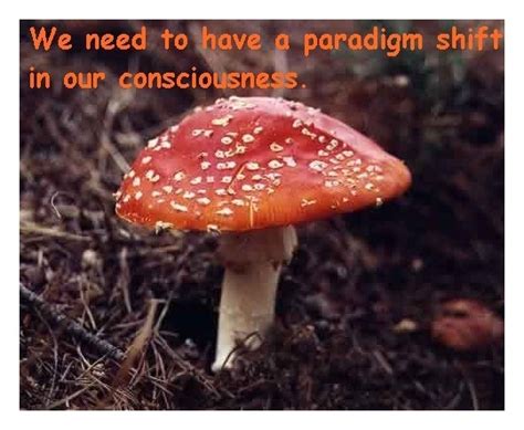 Mushroom Quotes And Sayings. QuotesGram