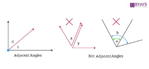 What are Adjacent Angles and Vertical Angles? Definition and Examples