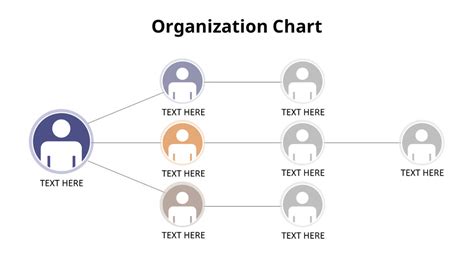 Organizational Chart Animation Presentation|Hierarchy|Diagram