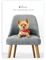 Pet Holiday Cards | Minted