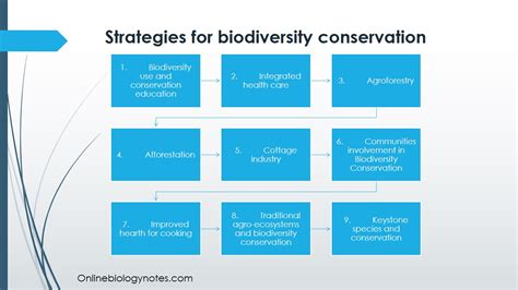 What Is the Best Strategy for Preserving Biodiversity - Emmanuel-has ...