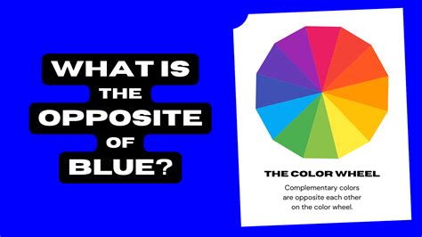 What Is the Opposite of Blue? (Complementary Color) | Color Meanings