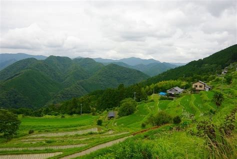 Japan Travel Reports: Kii-Tanabe & Kumano Kodo - Wakayama