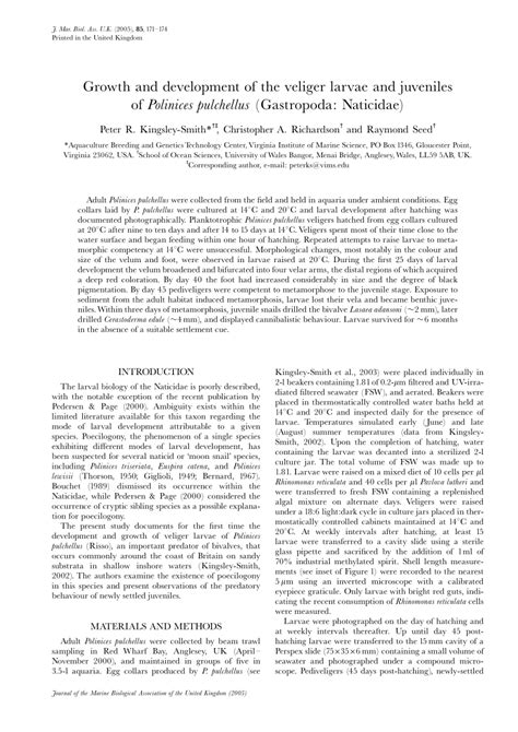 (PDF) Growth and development of the veliger larvae and juveniles of ...