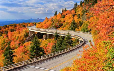 Blue Ridge Parkway Peak Fall Foliage 2024 - Alia Louise