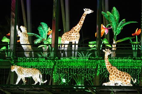 L.A. Zoo spotlights ‘Animals Aglow’ lanterns tour to celebrate 2022 ...