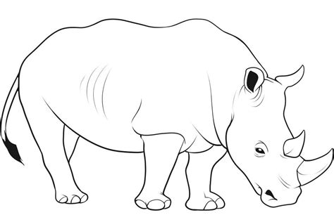 Baby Rhino Drawing at GetDrawings | Free download