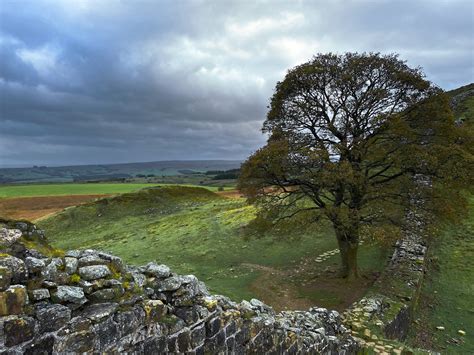 Sycamore Gap along Hadrian’s Wall : r/britpics