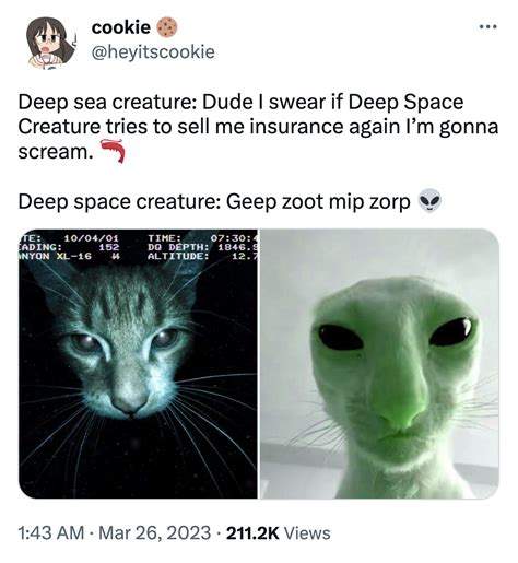 Aliens Meme Cat