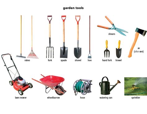 The best gardening tools — Home-blogger.com