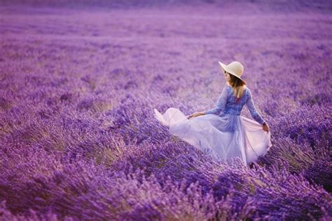 22 Gorgeous Lavender Fields Around The World