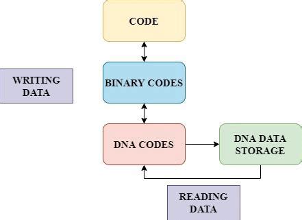 DNA data storage flowchart represents the flow of DNA data storage ...