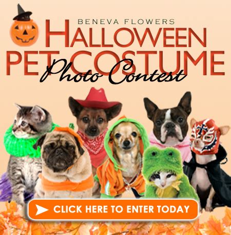 Pet Costume Contest