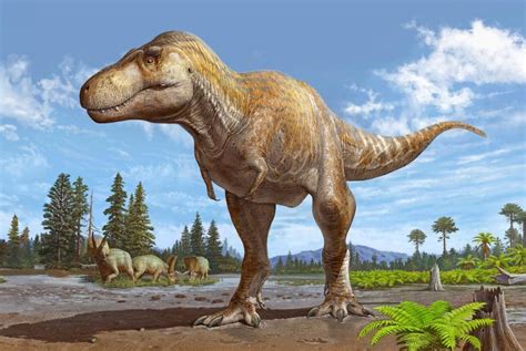 Shadow of a Titan: Tyrannosaurus McRaeensis Rises From T. Rex’s Past