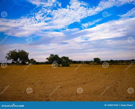 Beautiful Empty Field with Trees on Backdrop Blue Sky Stock Photo ...