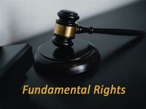 Fundamental Rights Essay | Full Information With List