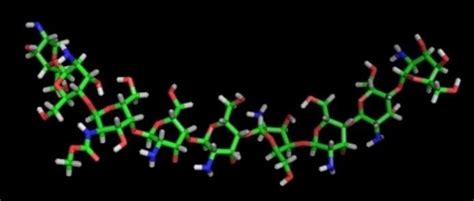 3D structure of chitosan oligomer as a macromolecule | Download ...