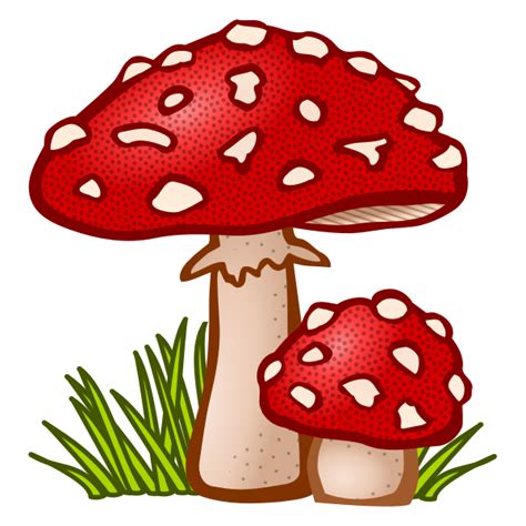 Colored toadstool | Free SVG