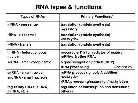 PPT - RNA functions, structure and Phylogenetics PowerPoint ...