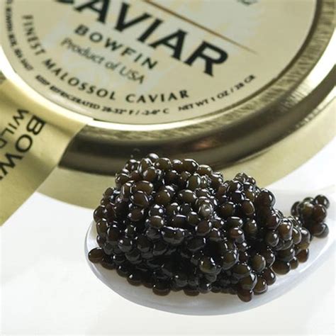 American Black Bowfin CaviarMalossol - buy caviar online at Gourmet ...