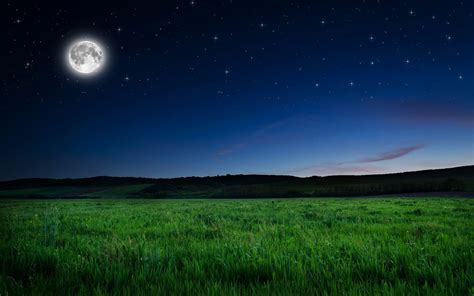 Moon Shining In The Night - HooDoo Wallpaper