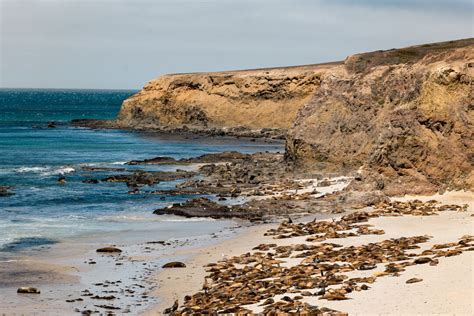 How to visit San Miguel Island, Channel Islands National Park - Los ...