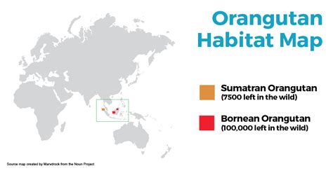 Orangutan Habitat Map | SEEtheWILD Wildlife Conservation Travel