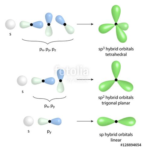 Trigonal Planar Hybridization