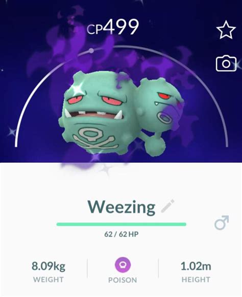 Shiny shadow Weezing 😈 | Pokemon GO Amino