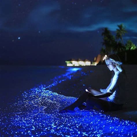 Sea of Stars on the island @Anantara Kihavah, Maldives. | Amazing ...