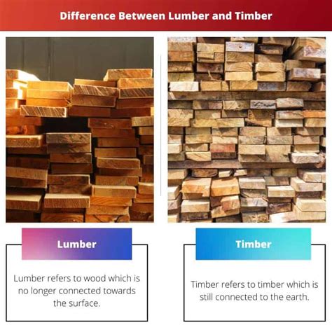 Lumber vs Timber: Difference and Comparison