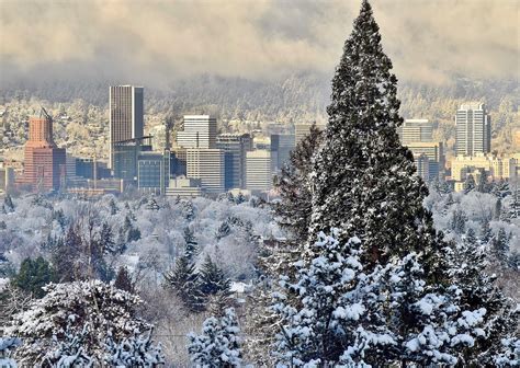 City Pictures, Christmas Snow, Portland Oregon, San Francisco Skyline ...