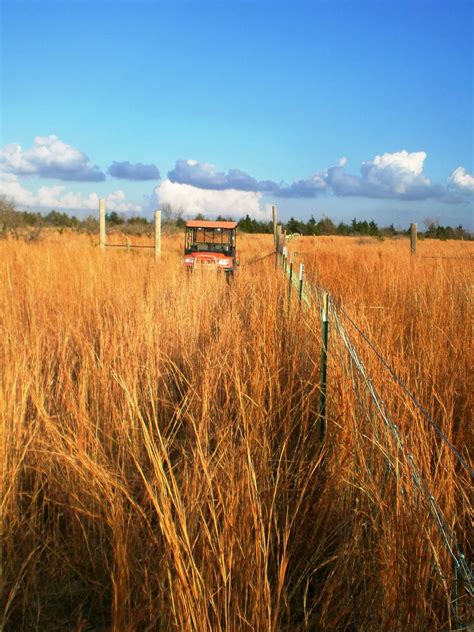 Pasture Fencing | Agriculture 101 – Beef Runner