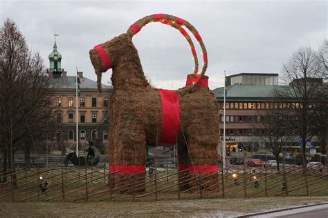 Yule never baa-lieve it: a case for the Yule Goat at Christmas - The ...