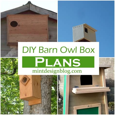 15 Free DIY Barn Owl Box Plans For Your Garden - Mint Design Blog