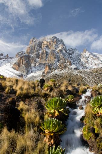 Sunrise On Mt Kenya Stock Photo - Download Image Now - iStock