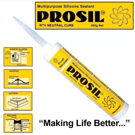 Prosil Multipurpose Silicone Sealant Prosil | Shopee Philippines